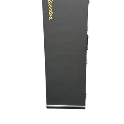 Spector Hard Case for Bass, Black Tolex (Open Compartment) *IN STOCK* image 1