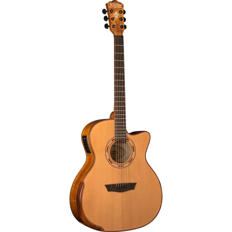 Washburn Comfort G66SCE Spalt Maple image 1
