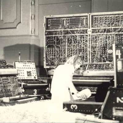 PPG Wolfgang Palm Modular Synthesizer SUPER RARE 1975 Black image 11