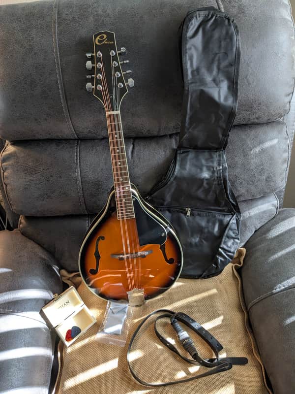 Eleca EMA-1 Mandolin...w/ New Gig Bag and Accessories image 1