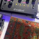 Waldorf Streichfett String Synthesizer 2019 - Present - Black