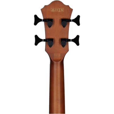 Ibanez AEGB25E Acoustic-Electric Bass, Transparent Black Burst Hi Gloss image 6