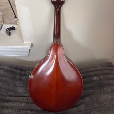 Gibson A-1 mandolin 1913 image 10