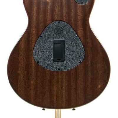 Taylor T5z Classic Electric-Acoustic Hybrid Guitar - Natural image 17