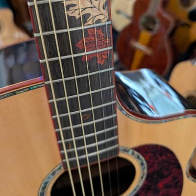 Willow Creek FX-PG9-BS Grand Auditorium Acoustic Electric Guitar With Built-in Effects image 3