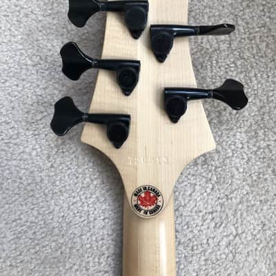 Fbass F-Bass Alain Caron AC5 Custom, 34" Scale, Flamed Redwood top! 2013 image 6