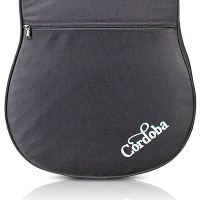 Cordoba C10 Crossover - Solid Spruce top, Solid Indian Rosewood b/s - 48mm Radiused Fretboard, image 7