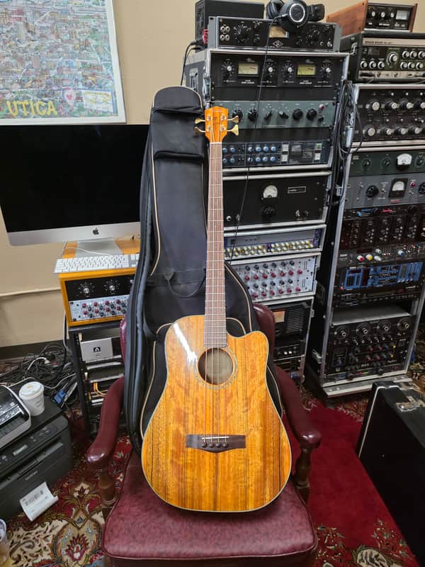Fender Victor Bailey VB-2 acoustic bass guitar image 1