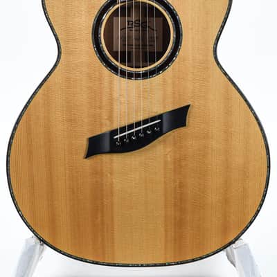 BSG GA45CF Fan Fret Recent image 5