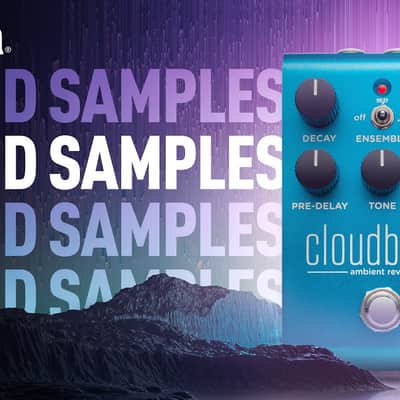 Strymon Cloudburst Reverb image 21