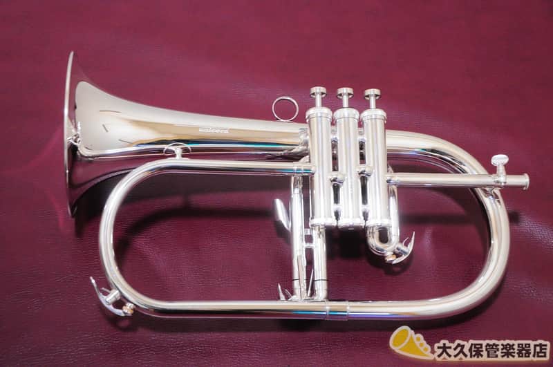 Brasspire Unicorn BPFG-850SS Flugelhorn (New) | Reverb