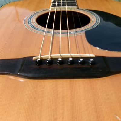 1980 Yairi YW-600 Dreadnought Guitar New Jacaranda Natural+vintage Hard Case image 20