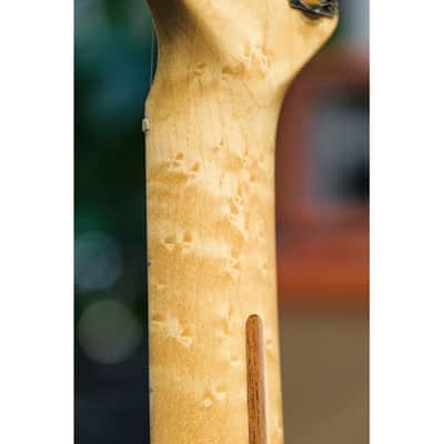 1976 Fender Stratocaster natural image 9