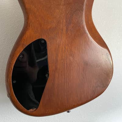 Peavey USA Foundation Bass, Mahogany with Hard Case image 6