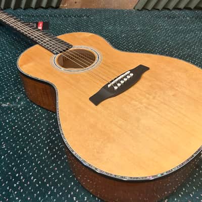 PRS PPE50 - Parlor Size Acoustic Guitar with Built-In Fishman Pickup and Padded Bag image 10