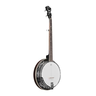 Ibanez Limited Edition BA250 250th Anniversary Banjo (Natural High Gloss) image 3