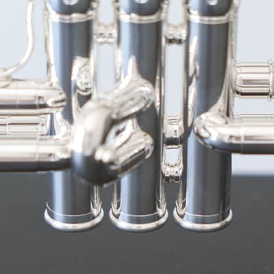 Yamaha YTR-6310ZS Bobby Shew Bb Trumpet (SN 4014xx) image 16