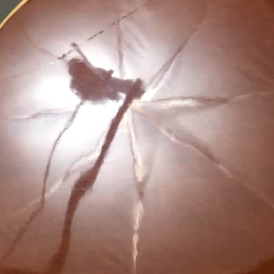 Vintage Jose Luis Velazquez Classical Nylon String Spanish Guitar Made in Mexico Solid Woods Original Case image 7