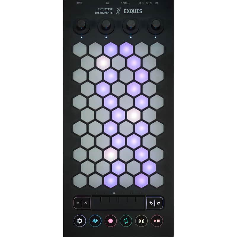 Intuitive Instruments Exquis 61-Key MPE MIDI Controller image 1