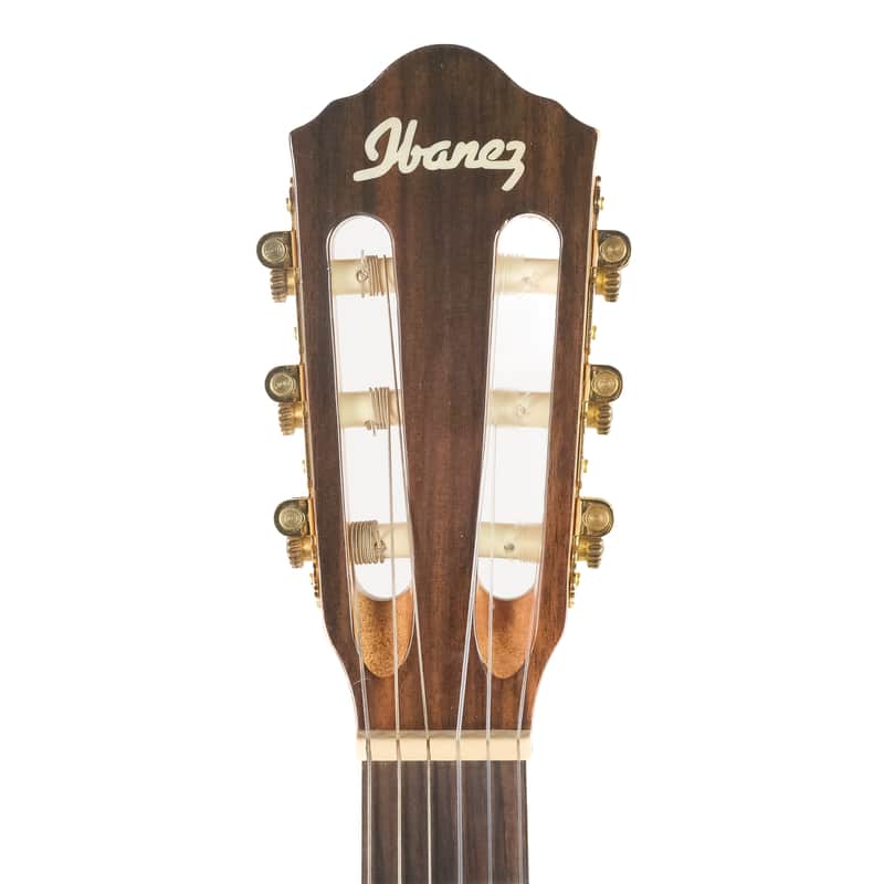 Ibanez AEG10NII-NT-3R-02 Owned by Kiko Loureiro | Reverb