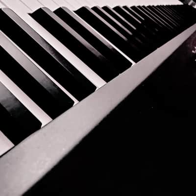 MUST SEE!!! KORG SP200 STAGE PIANO FULLY INSPECTED, SERVICED AND IN AMAZING CONDITION! image 19