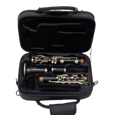 Buffet Crampon R13 Professional Bb Clarinet SN 87839 EXCELLENT image 1