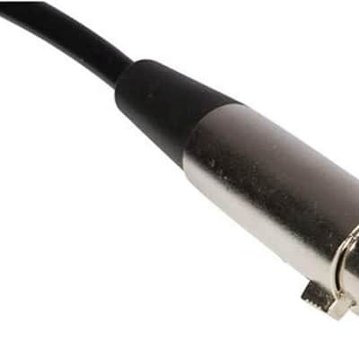 OnStage Microphone to USB Cable 10 ft Microphone to USB Cable image 2