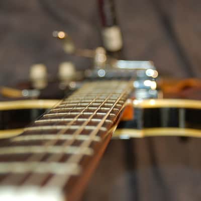 Teisco Del Rey Model EP-8T Slimline Dual Ry Cooder Style Pickups 1960's Sunburst image 9