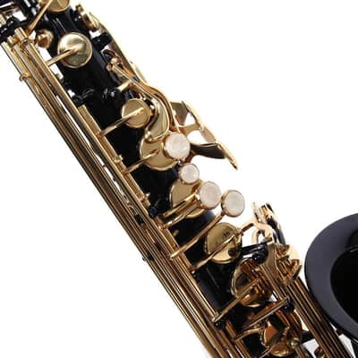 Black & Gold Alto Eb Saxophone Brass Alto Sax with Case, Tuner, Strap, Cleaning Kit & Accessories image 2