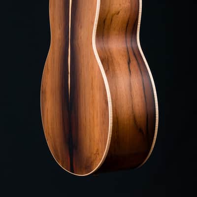 Lowden F-38C Brazilian Rosewood and Red Cedar NEW image 23