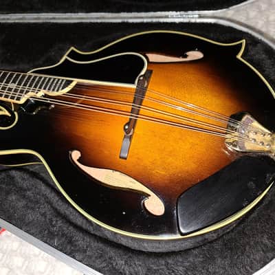 Kentucky KM   DAWG Mandolin ( Very Rare / Hard To Find.)  Sunburst image 8