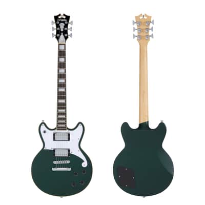 D'Angelico DAPBRISHGCS PREMIER BRIGHTON Double Cutaway Solid Body 6-String Electric Guitar w/Gig Bag image 1