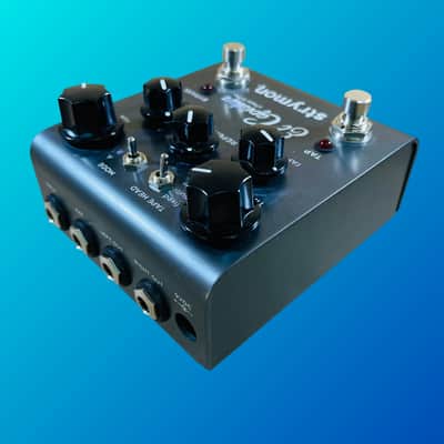 Strymon El Capistan V1 image 2