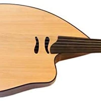 Special Turkish Electric Oud Ud Aoud PROUD-4 image 4