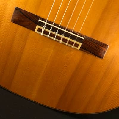1966 Arcangel Fernandez "Marcelo Barbero - Hijo" Classical Guitar image 15