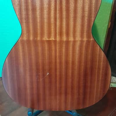 Eastman E100SS-LTD 2019 image 10