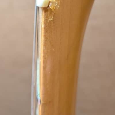 Lyon By Washburn GW T-Style Electric Guitar image 9