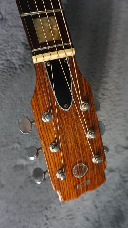 Tokai Hummingbird 180F Folk Guitar Japan Acoustic | Reverb