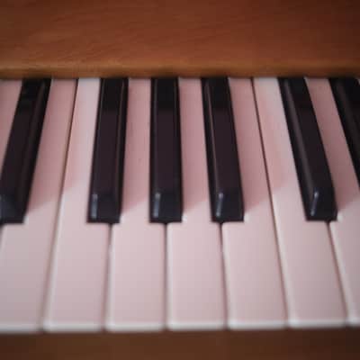 Moog Mini Moog Model D Reissue 44 Key image 6