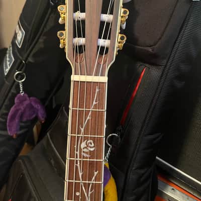 Ibanez Tim Henson TOD10N 2023 image 2