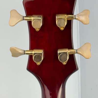 Jay Turser Hollow Body Electric Bass Guitar w/ Hardshell Case – Tobacco Sunburst image 19