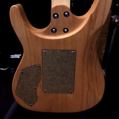 Paradise USA Jason Becker signature custom image 5
