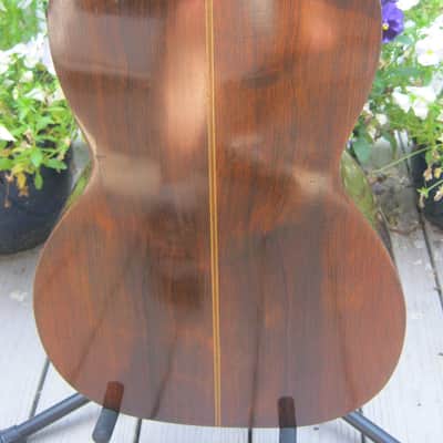 John C. Haynes Bay State Brazilian Rosewood Guitar image 14