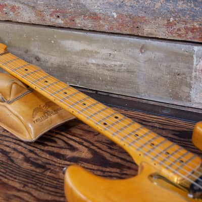 Schecter Dream Machine 1981 - Natural image 7