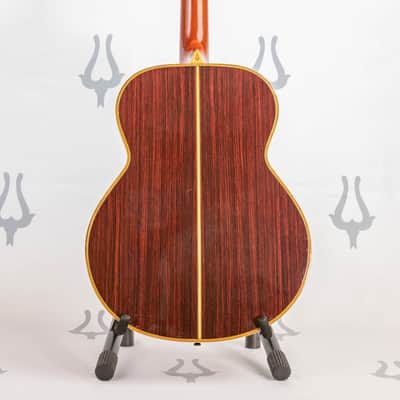 Daion Year Series '82 / 12 String image 5