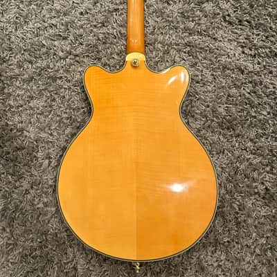Agile AS-820 2010's -2020's - Natural - P90's image 10