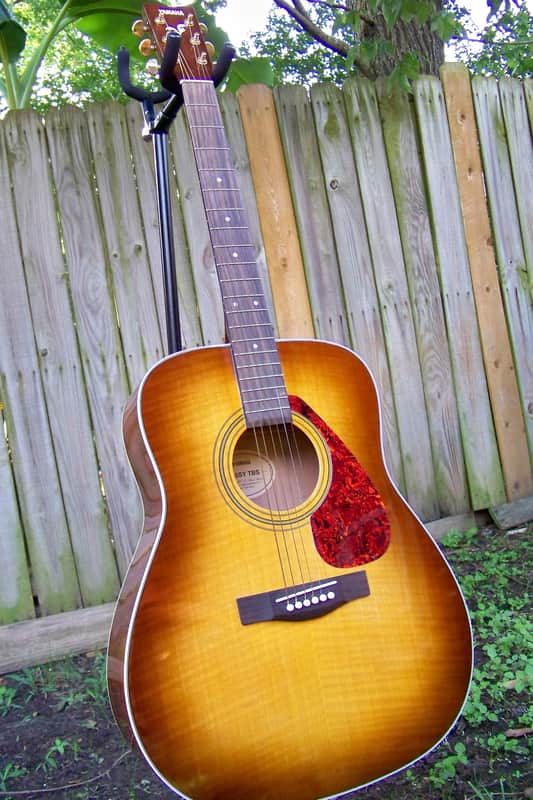 Yamaha  F345SY  Sycamore Top Dreadnought Acoustic Guitar Like New image 1