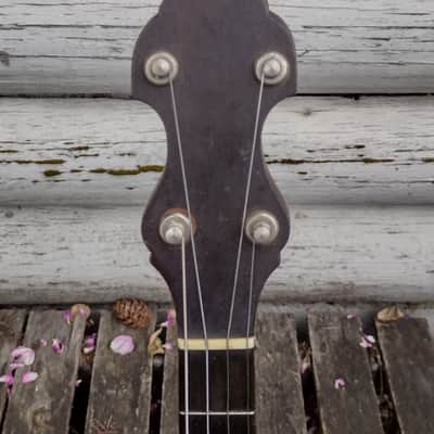 Fairbanks by Vega Style N tenor banjo image 3