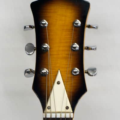Vintage Apollo Fujigen Made Barney Kessel Style Electric Guitar with the Original Case image 9