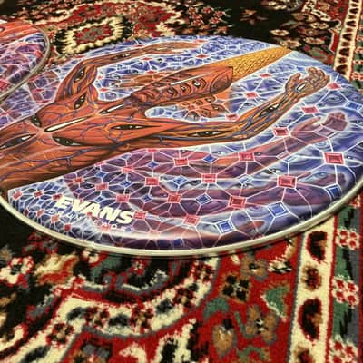 Evans Danny Carey 22"  Fear Inoculum “The Turning Man” #1 & #2  Bass Drum Head Set image 8